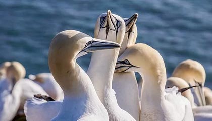 TIANBO SPORTS-欧冠综合：曼城0:3客负皇马