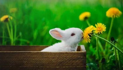 TIANBO SPORTS-欧冠综合：曼城0:3客负皇马